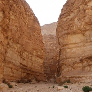 Wadi Barak Hike, Paran