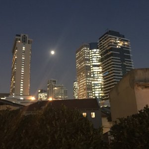 Tel Aviv View