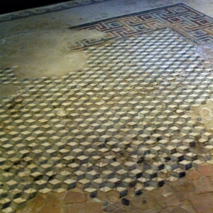 Roman Domus Museum - mosaic