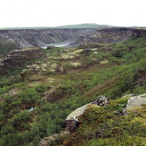 Jokulsargljufur canyon at Ásbyrgi