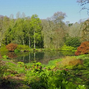 NHS Gardens Rosemoor - Lake