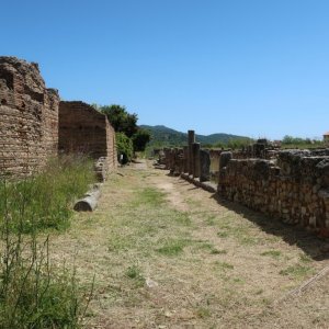 Velia Archaeology Site