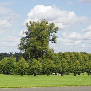 Burghley House - Capability Brown parkland