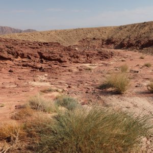 Timna Park in the Negev