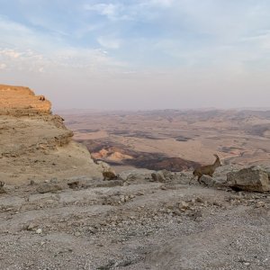 Ibex and the Ramon Crater