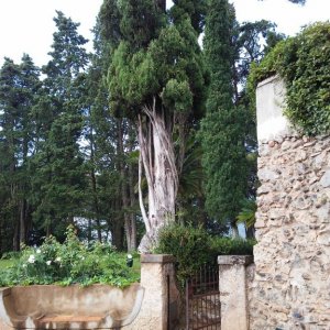 garden of the Villa Cimbrone