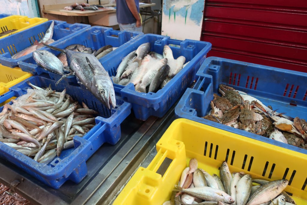 Akko (Acre) Market