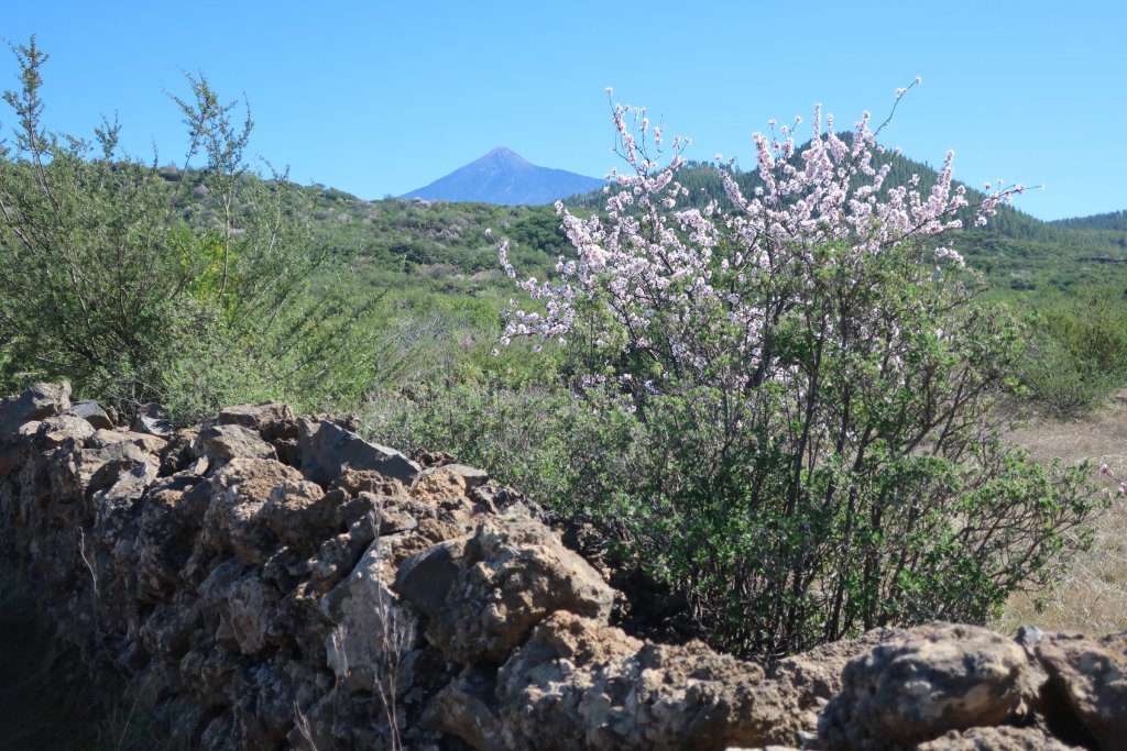 Arriba Valley Hike