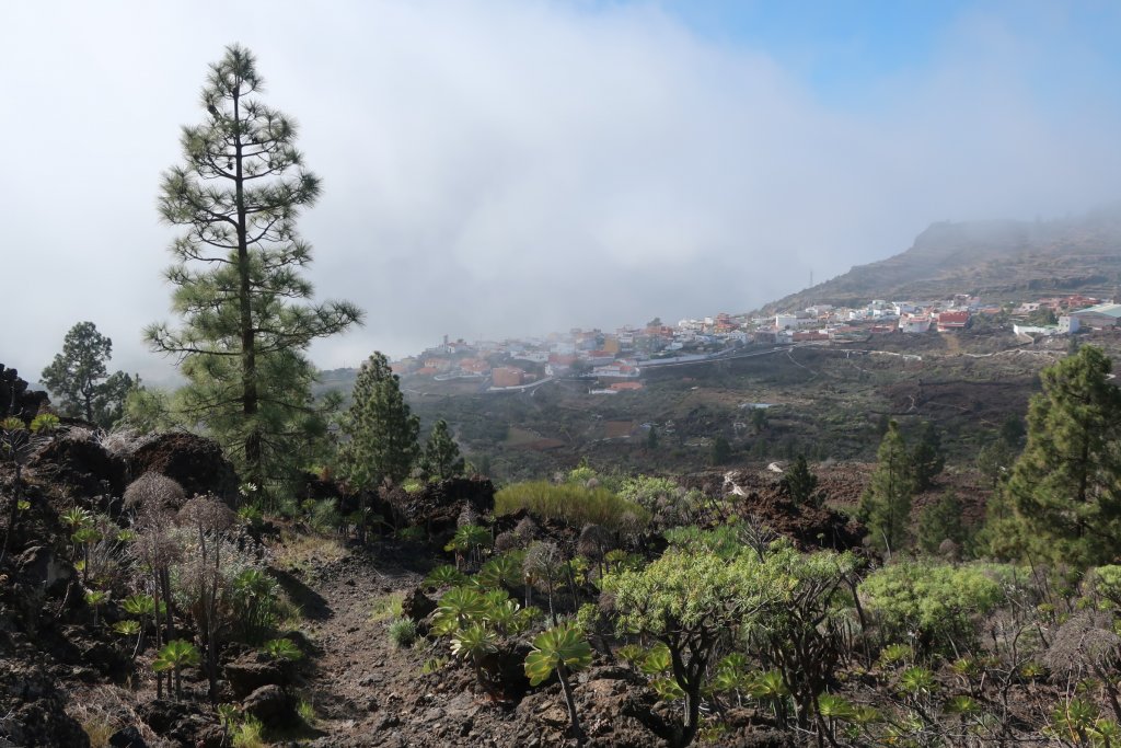 Arriba Valley Hike