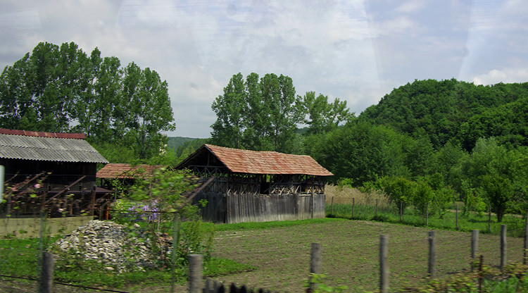 Barn and garden