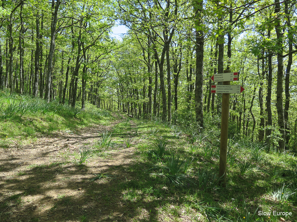 Basilicata - Lucane Regional Park