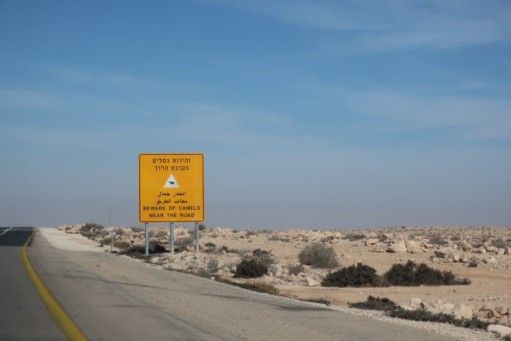 Beware of Camels