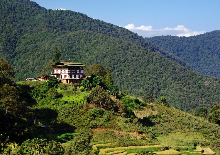 Bhutan - traditional house surrounded by farmland