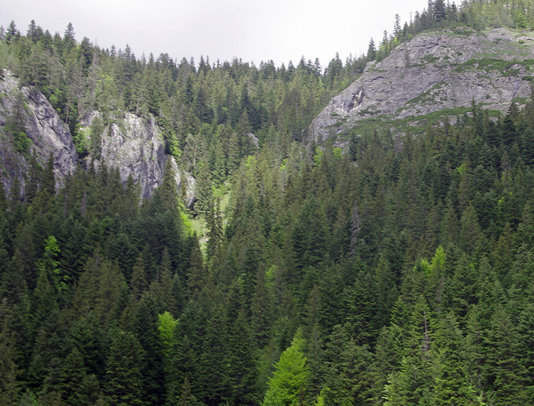 Bicaz Gorge