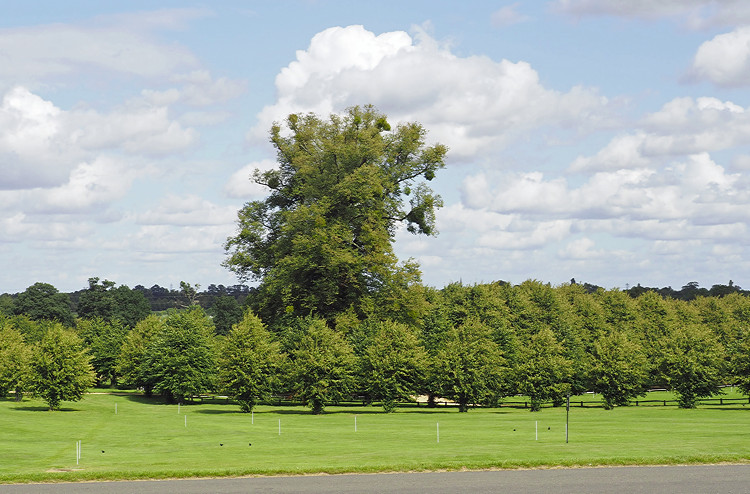 Burghley House - Capability Brown parkland