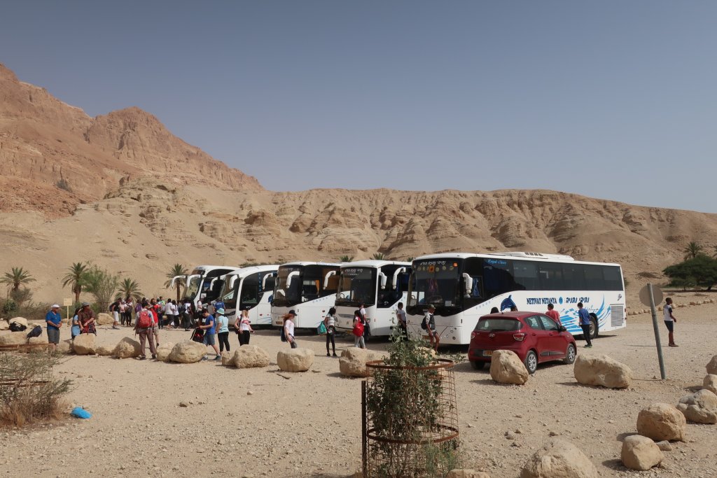 Buses at Wadi Arugot