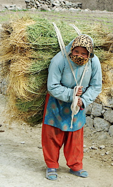 Carrying the hay back to the barn, Stok