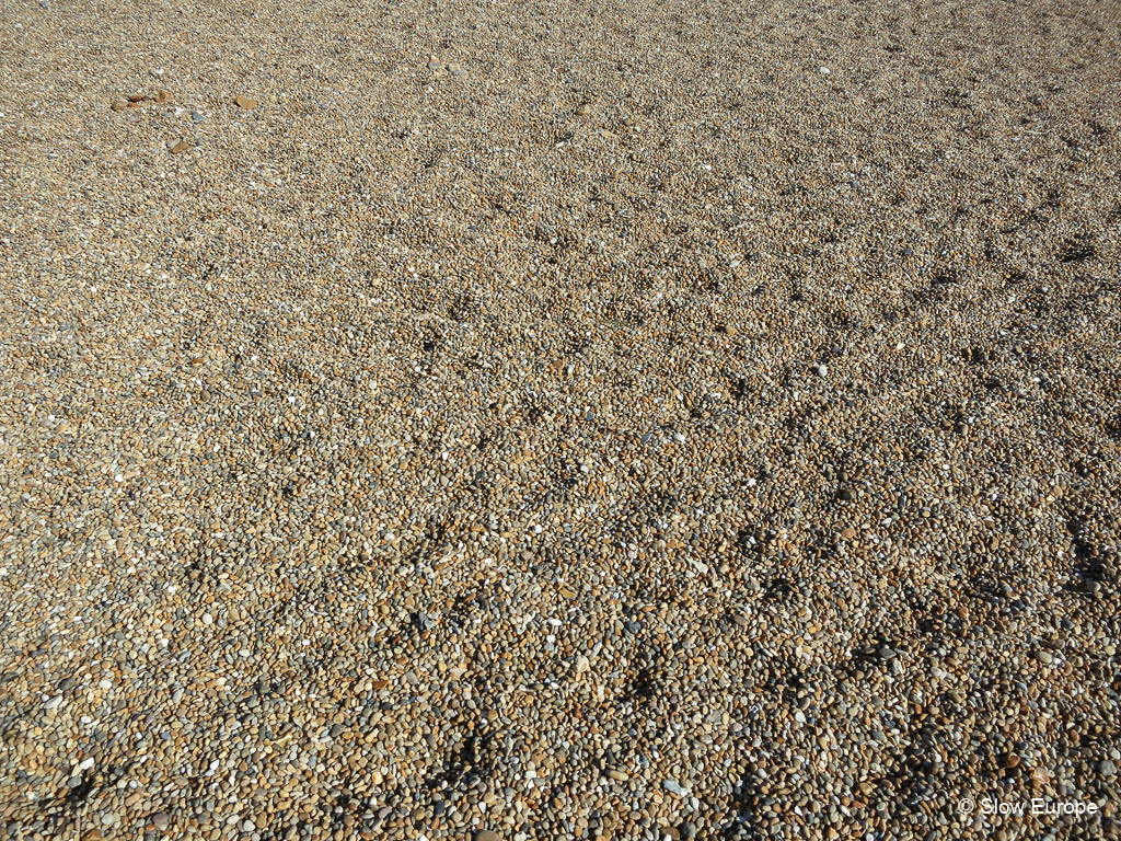 Chesil Beach