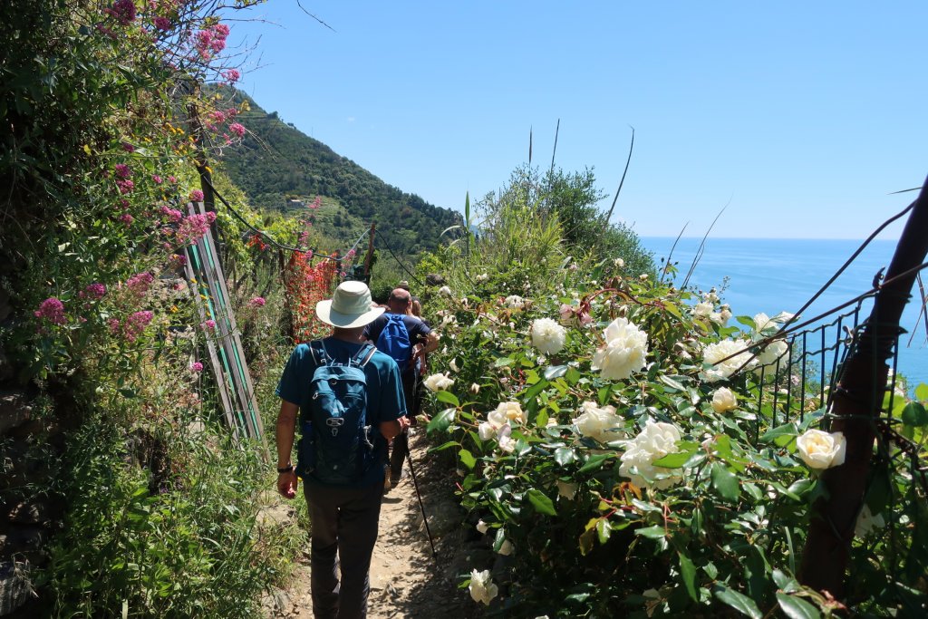 Cinque Terre Hike, Monterosso to Vernazza