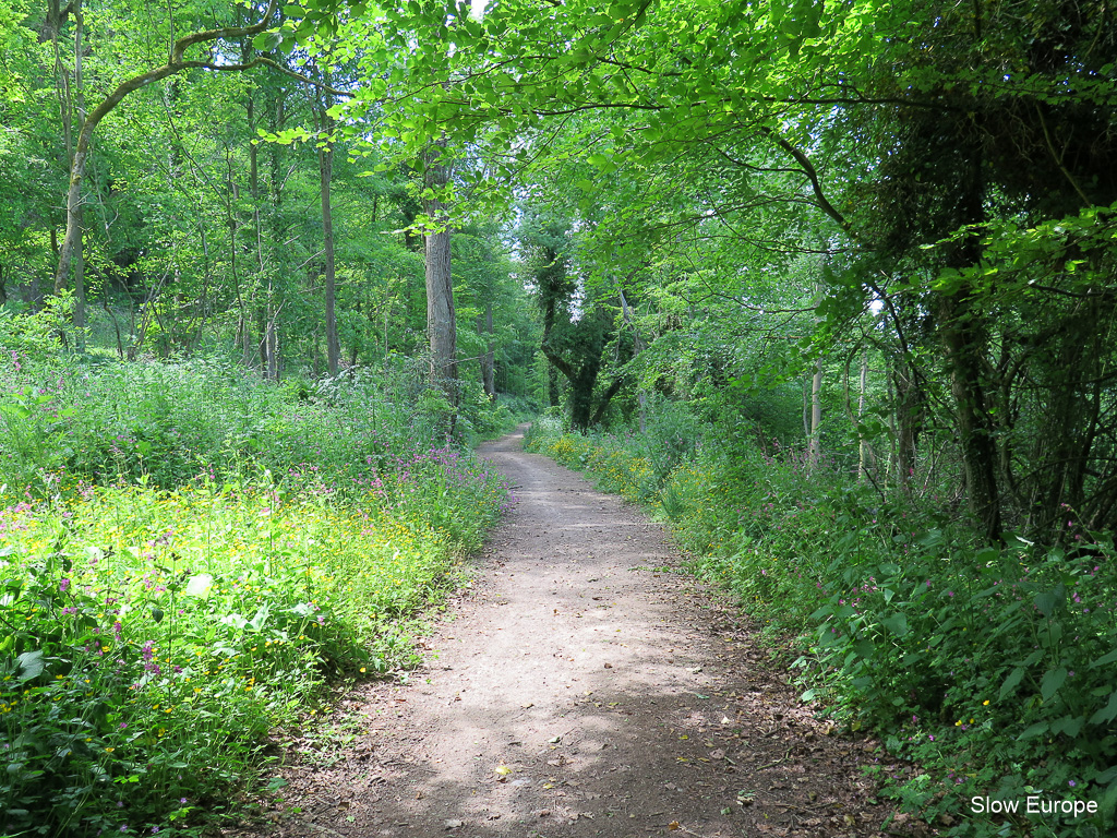 Cotswold Way