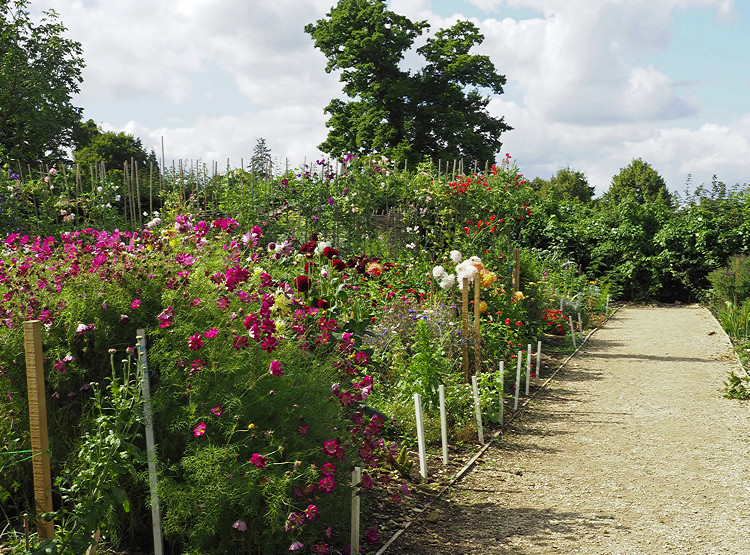 Cottage Garden