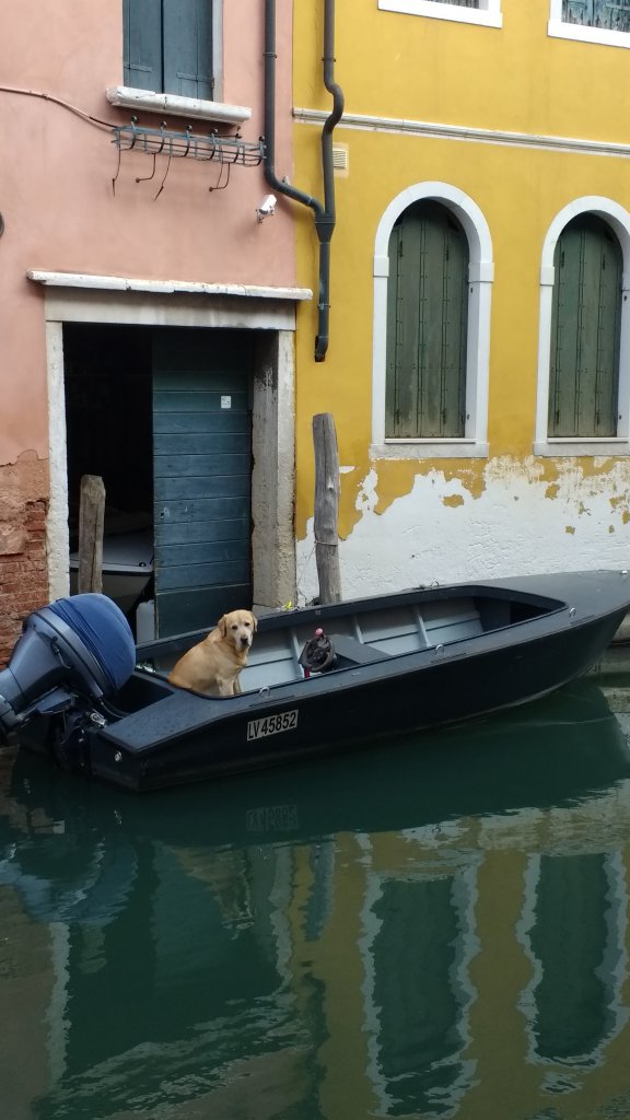 Dogondolier?