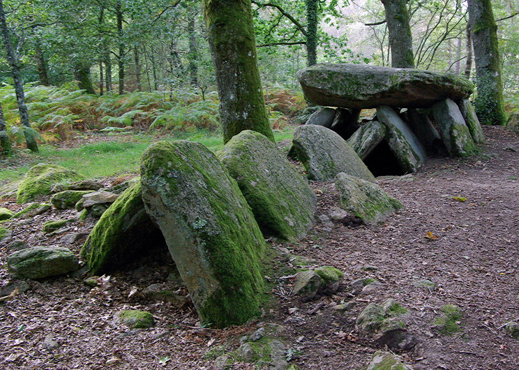 Dolmen de la Loge au Loup near Trédion