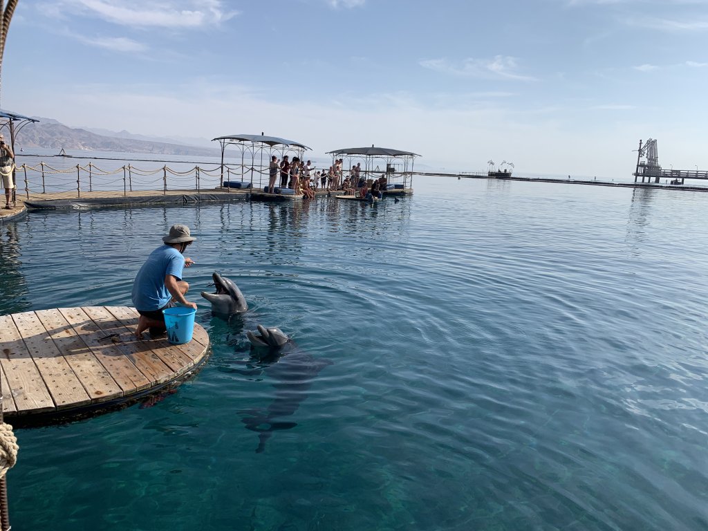 Dolphin Reef, Eilat