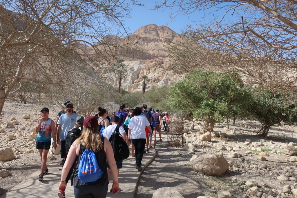 Ein Gedi