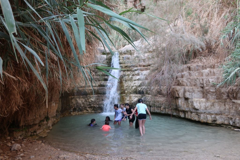 Ein Gedi