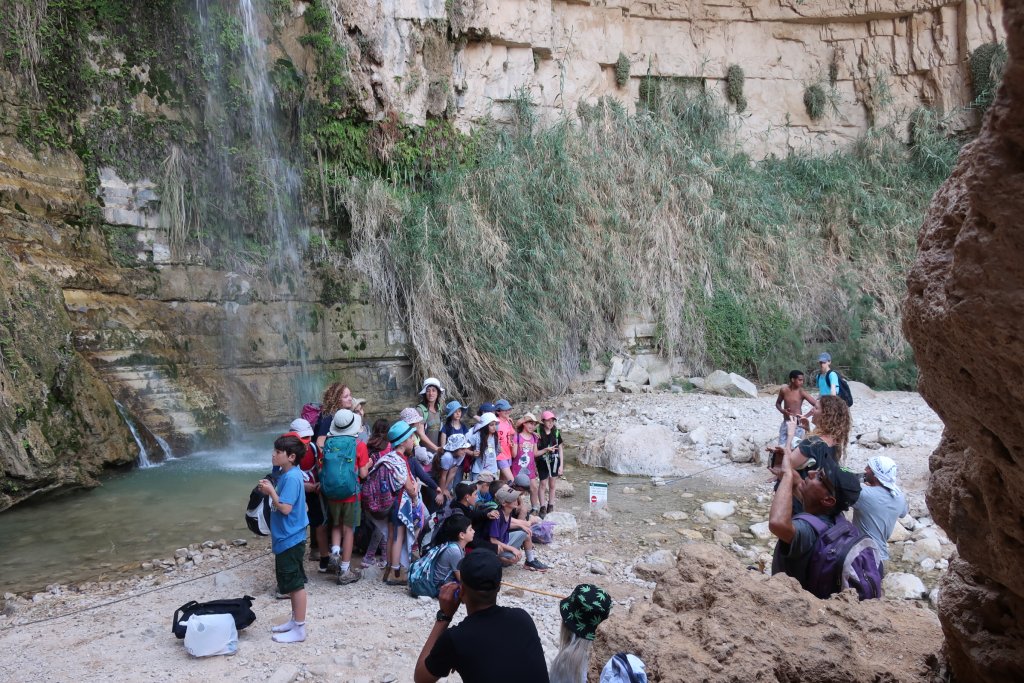 Ein Gedi