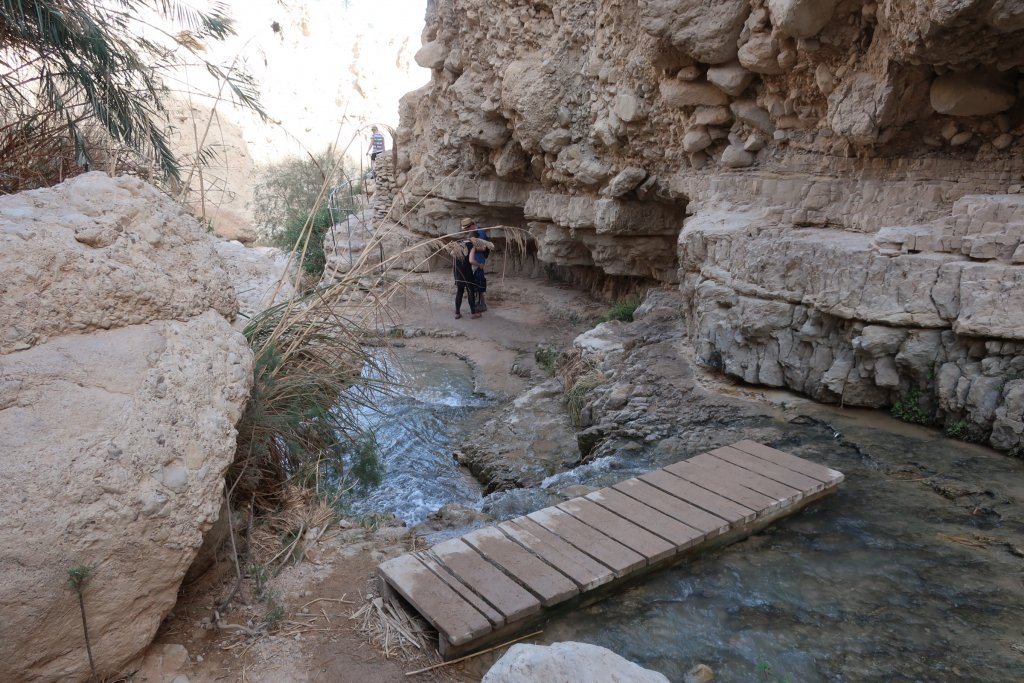 Ein Gedi