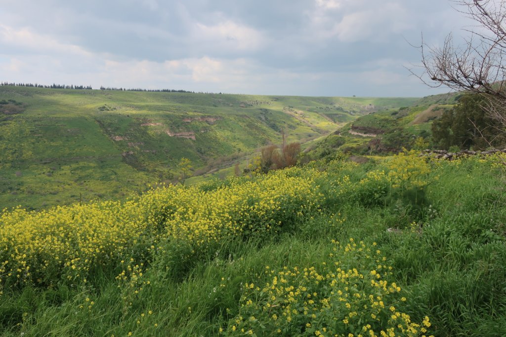 Ein Keshatot