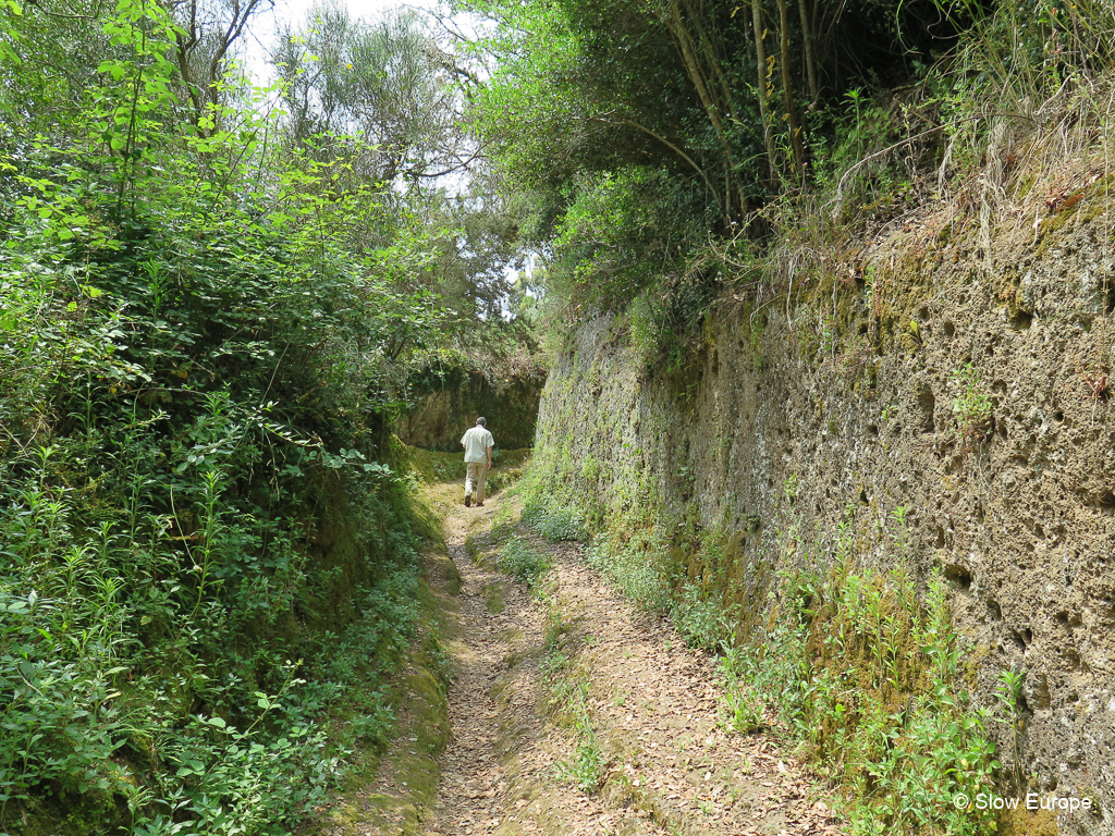 Etruscan Pathways near Pitigliano