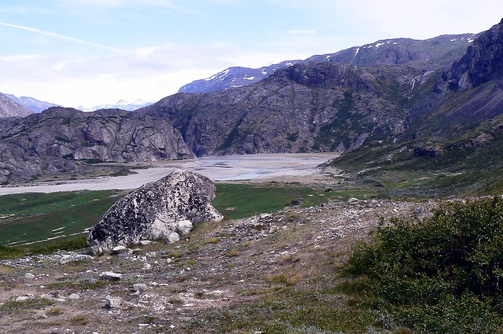 Flower Valley, Narsarsuaq 2