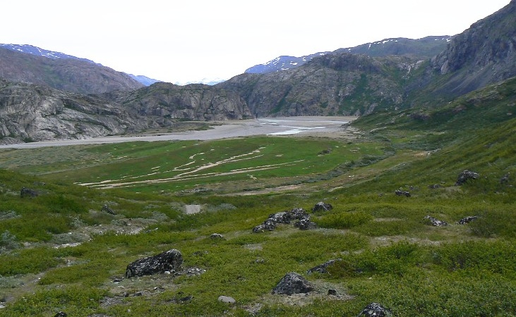 Flower Valley, Narsarsuaq