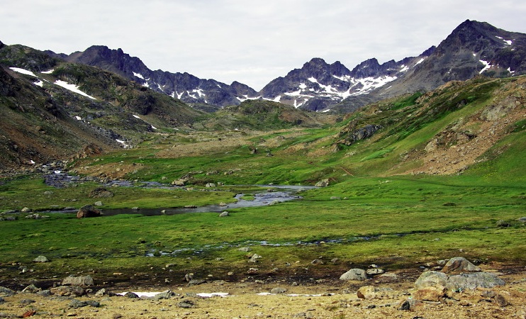 Flower Valley, Tasiilaq