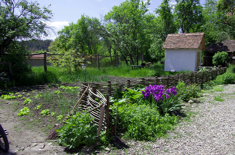 Garden, Viscri