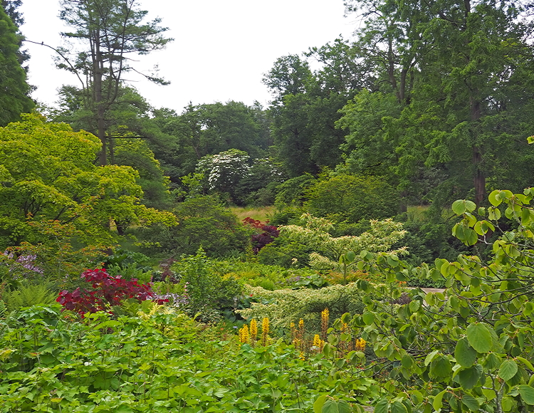 Harlow Carr Gardens