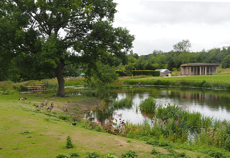 Harlow Carr Gardens