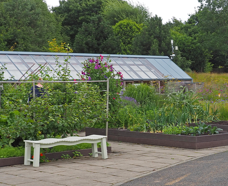 Harlow Carr Gardens