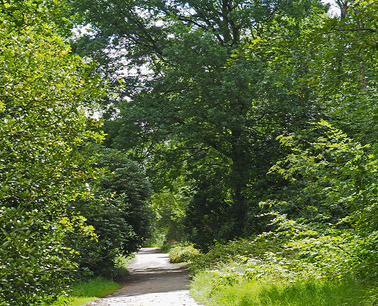 Harlow Carr Gardens