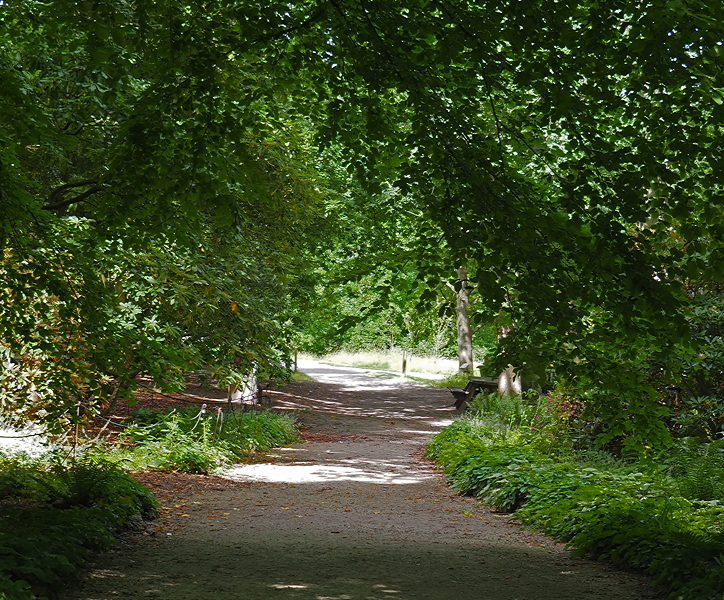 Harlow Carr Gardens