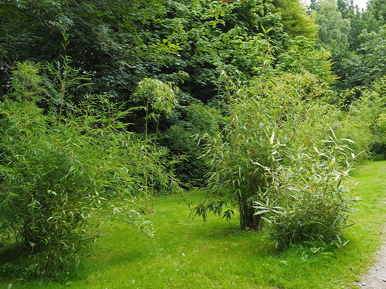 Harlow Carr Gardens