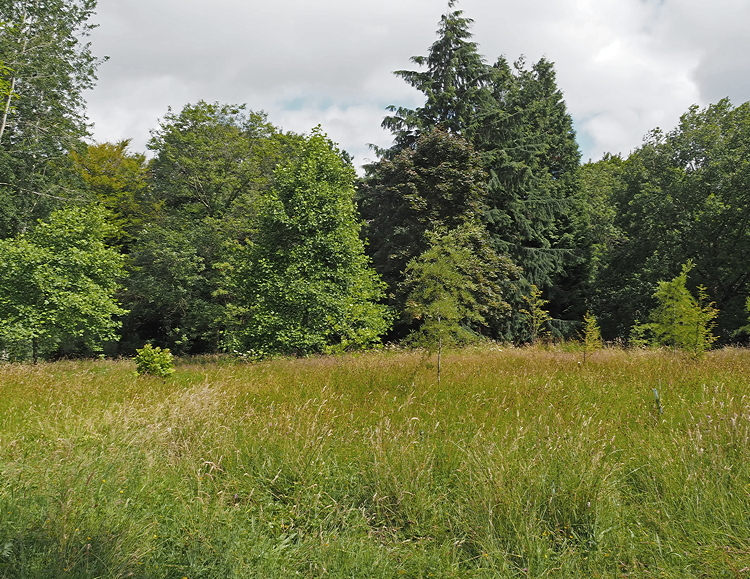 Harlow Carr Gardens