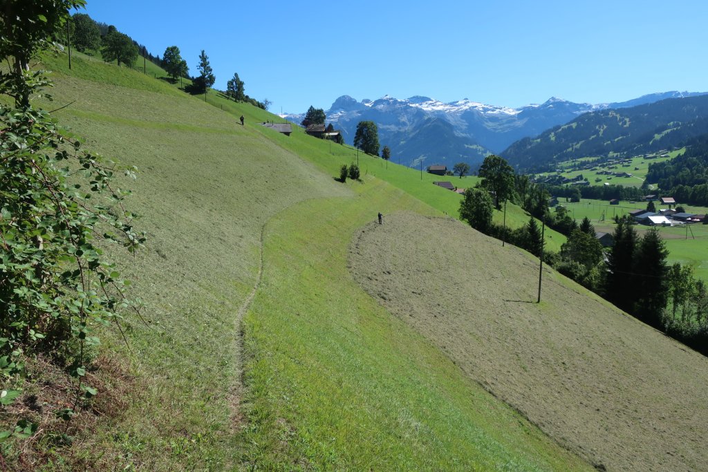 Haying on the steep slopes