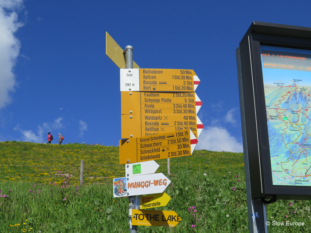 Hiking in Grindelwald