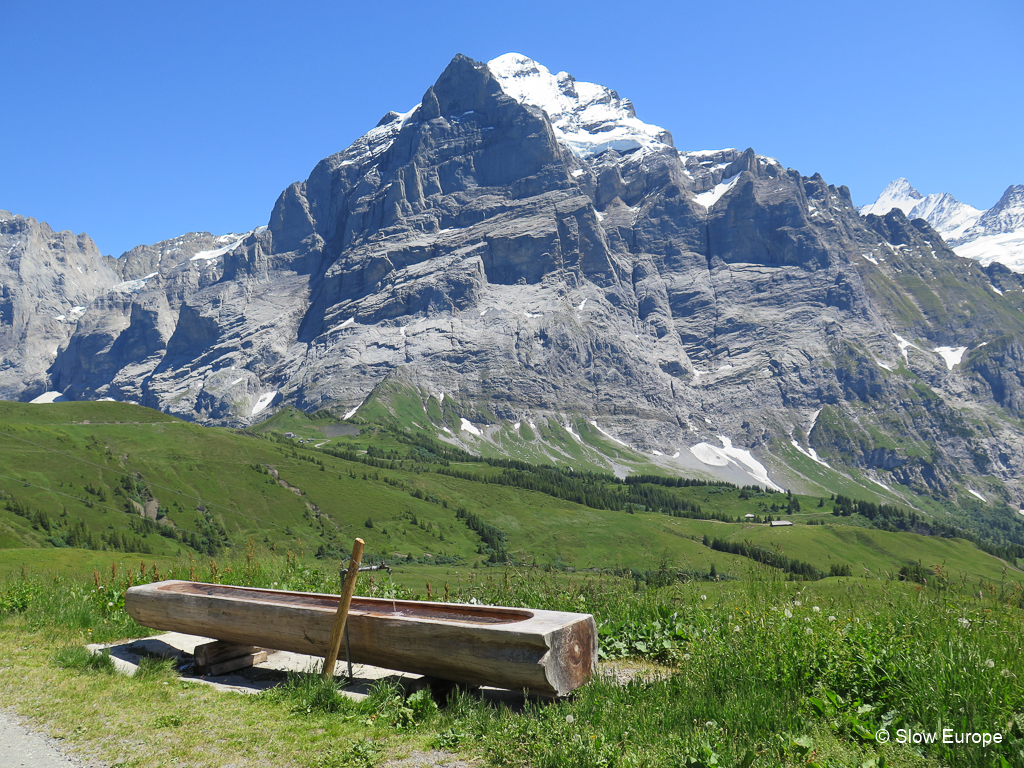 Hiking in Grindelwald