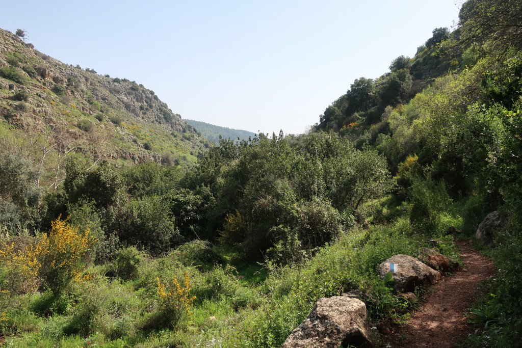 HIking in Nahal Amud