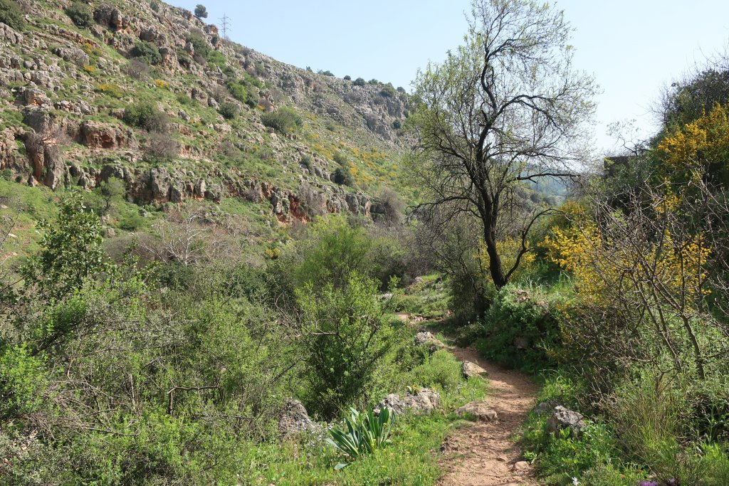 HIking in Nahal Amud